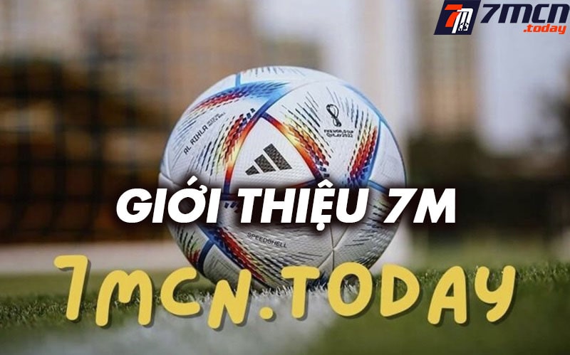 Giới thiệu femeba.net